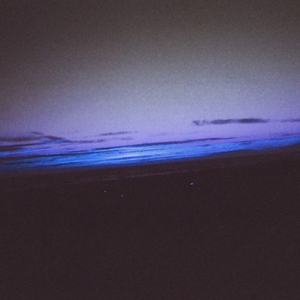 另类欧美视频二区
