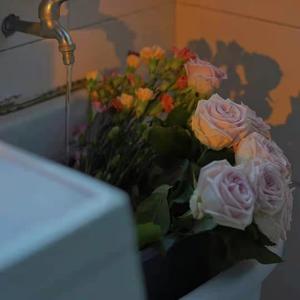 另类欧美视频二区
